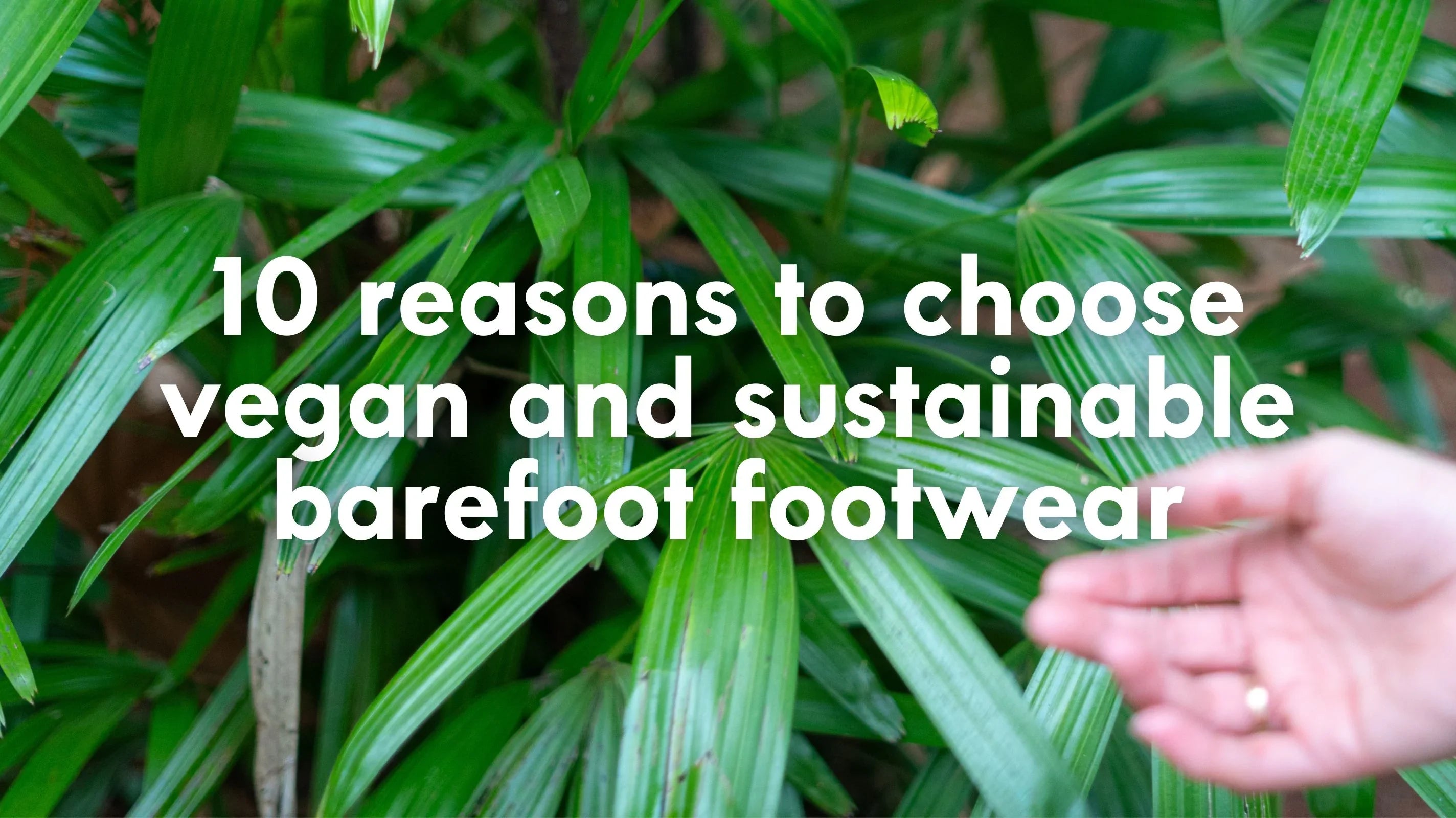 10 reasons to choose vegan and sustainable barefoot footwear