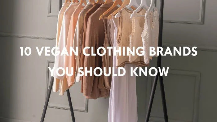 10 Vegan clothing Brands you should know
