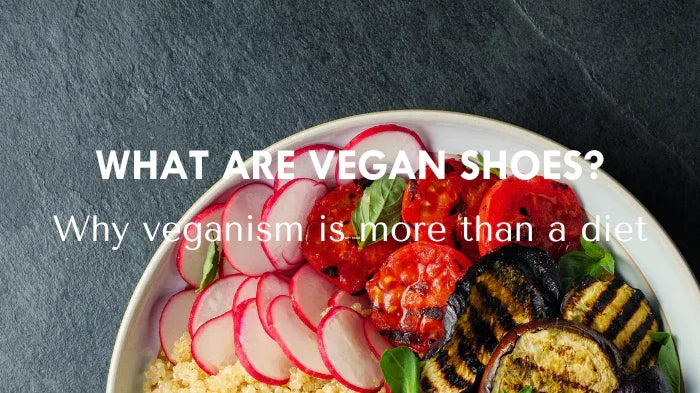 what are vegan shoes