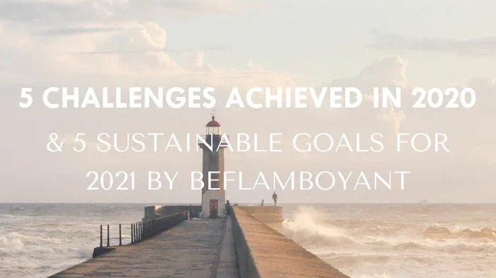 5 CHALLENGES ACHIEVED IN 2020 AND 5 SUSTAINABLE GOALS FOR 2021 BY BEFLAMBOYANT