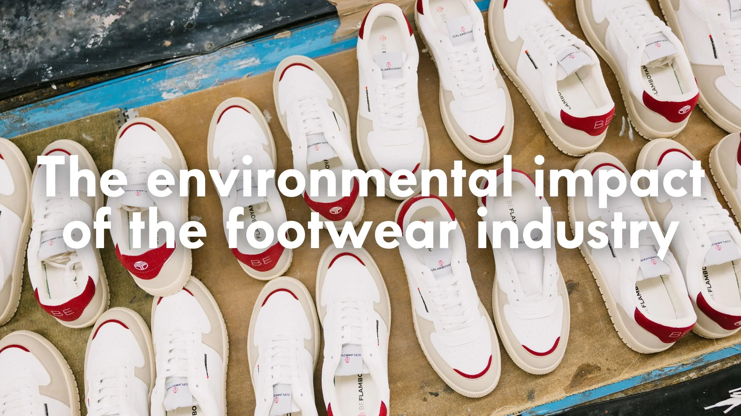 The environmental impact of the footwear industry