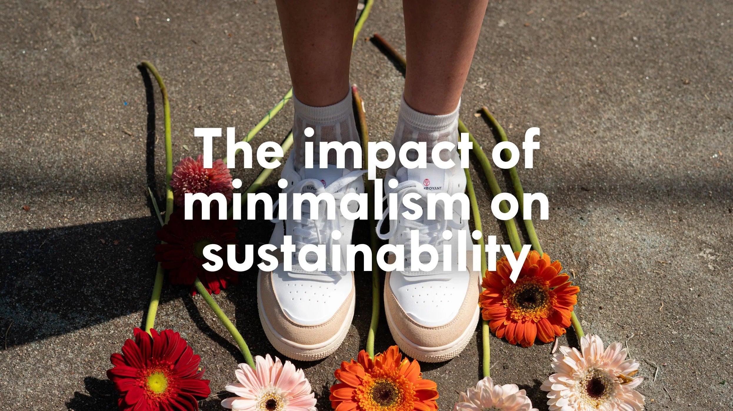 The impact of minimalism on sustainability