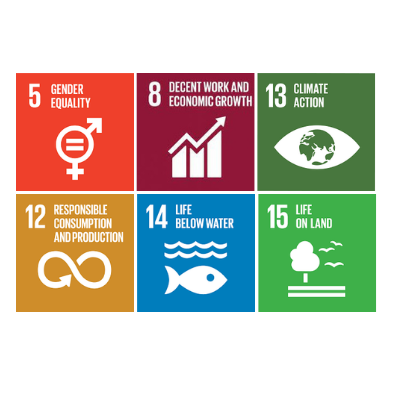 Sustainable development goals