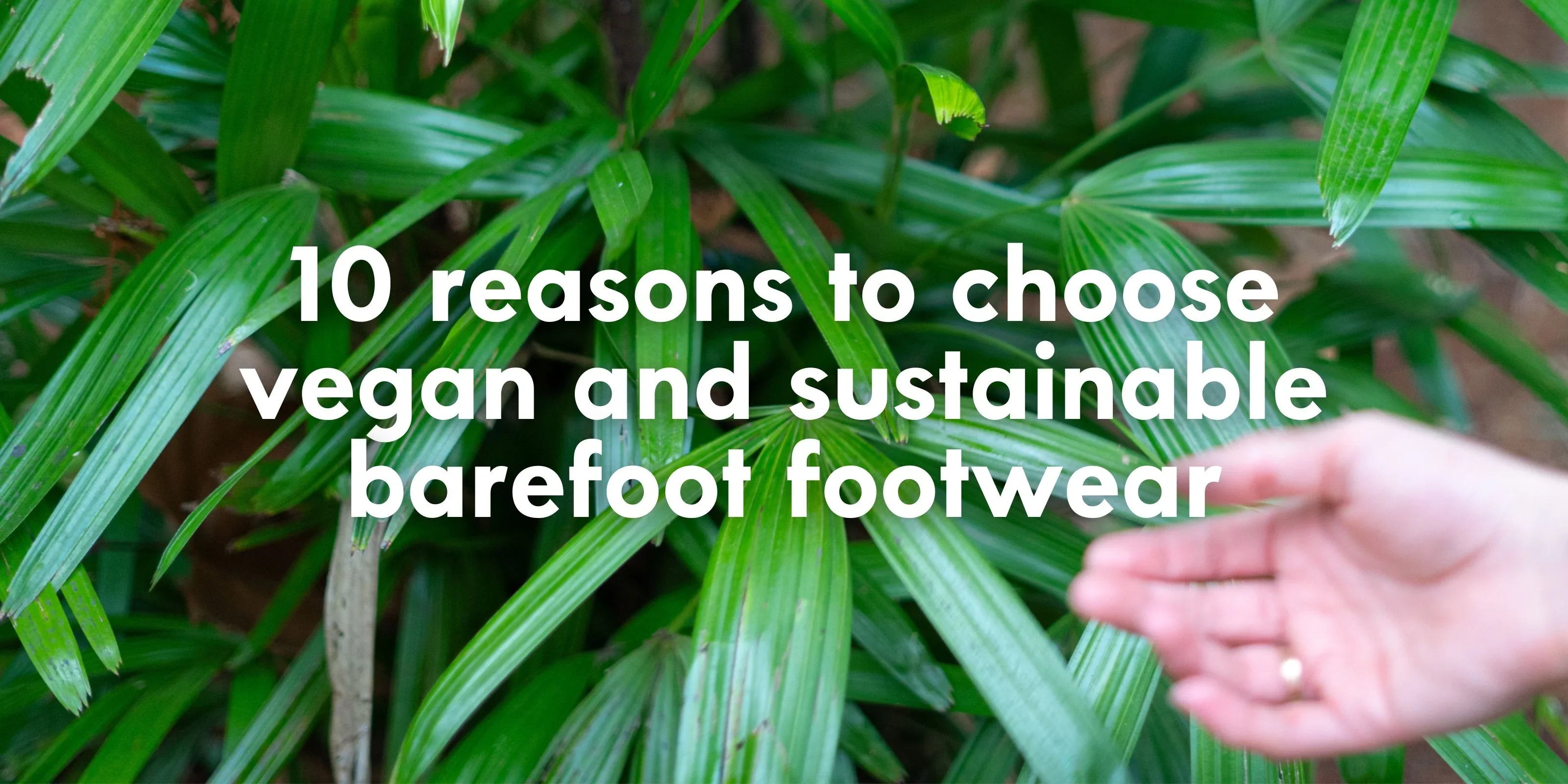10 reasons to choose vegan and sustainable barefoot footwear