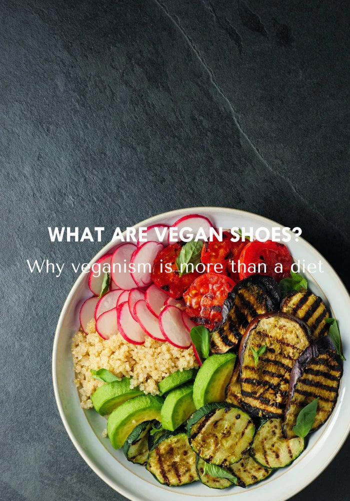 what are vegan shoes