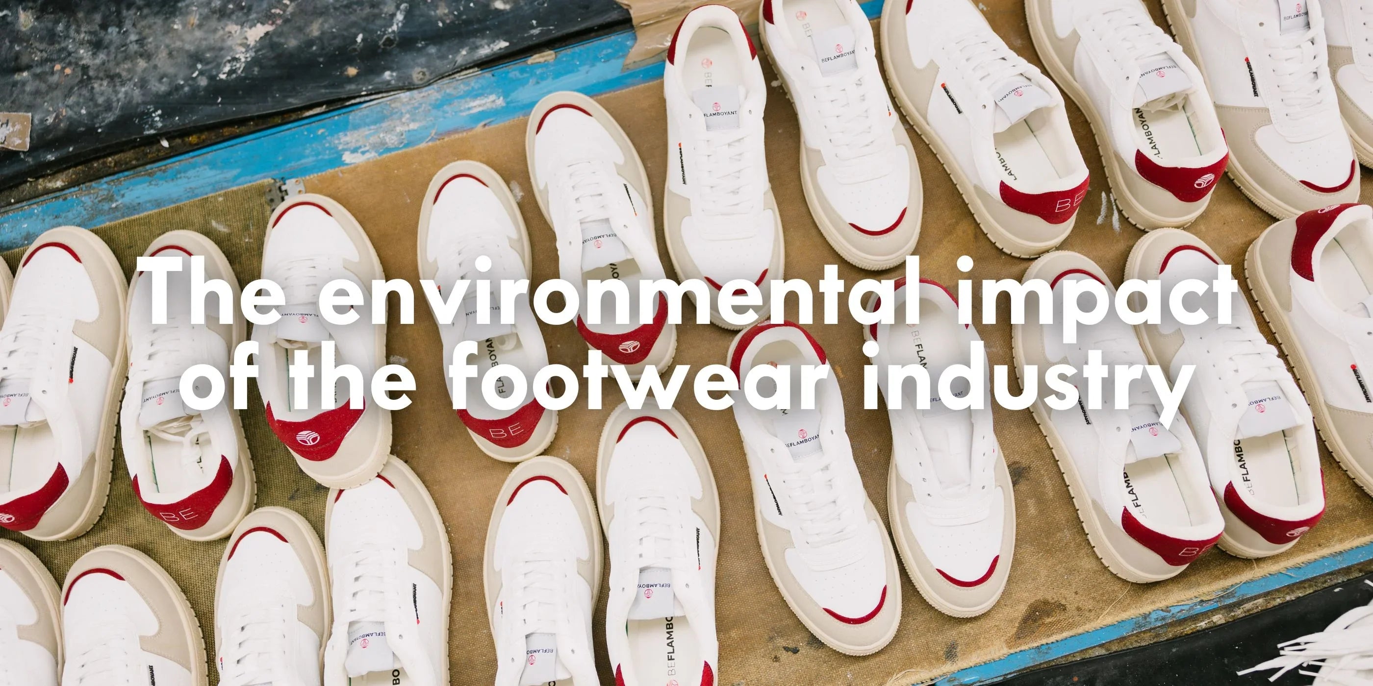 The environmental impact of the footwear industry