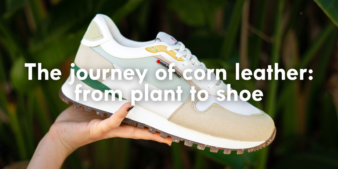 The journey of corn leather: from plant to shoe