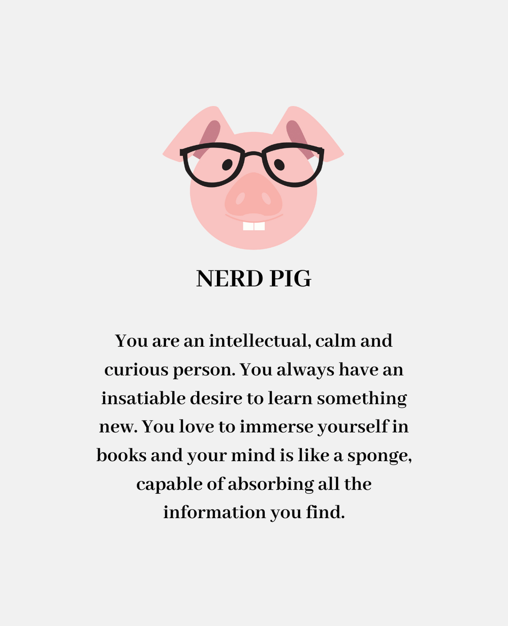 nerd-pig-organic-cotton-socks-user-profile