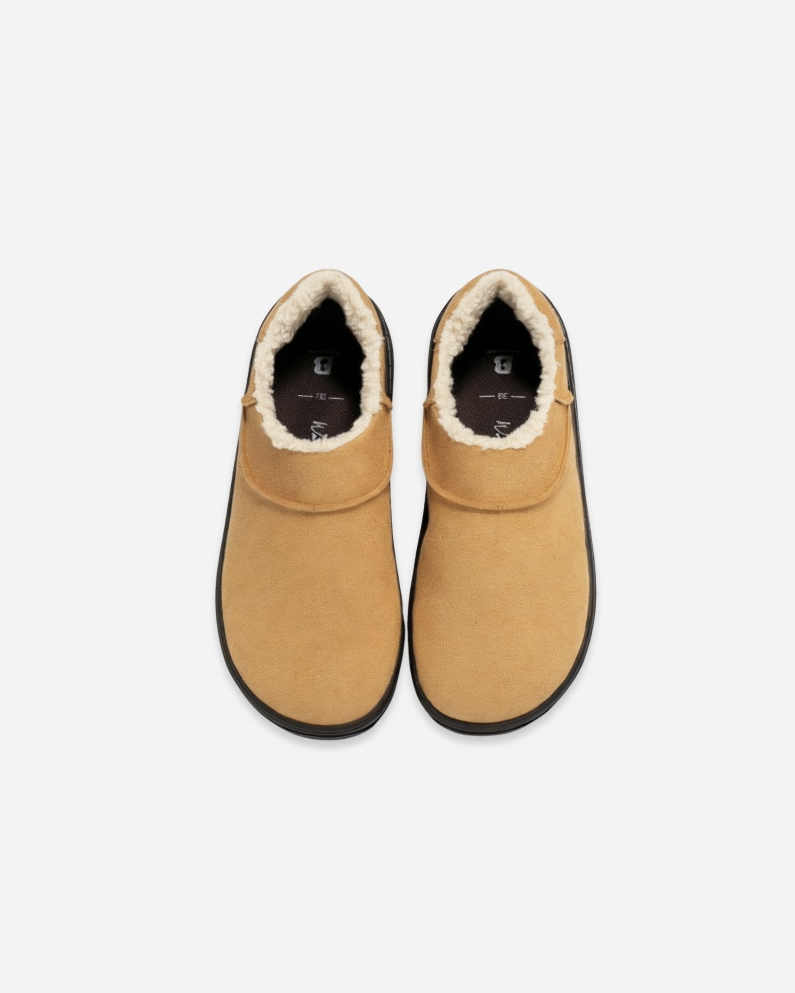 slipper barefoot camel beflamboyant sky view